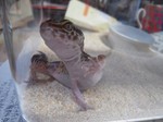 DSCN6227.JPG